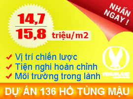 chung cu 136 ho tung mau, cau dien