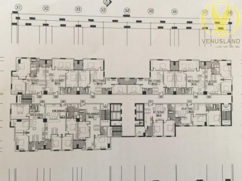 mat-bang-chung-cu-sapphire-palace1